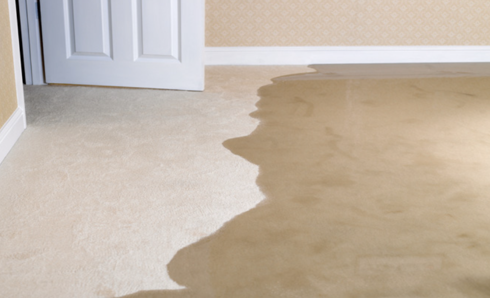 What to Do in the First 24 Hours After a Basement Flood