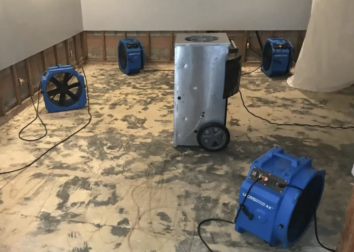 What to Do With Mold After Water Damage