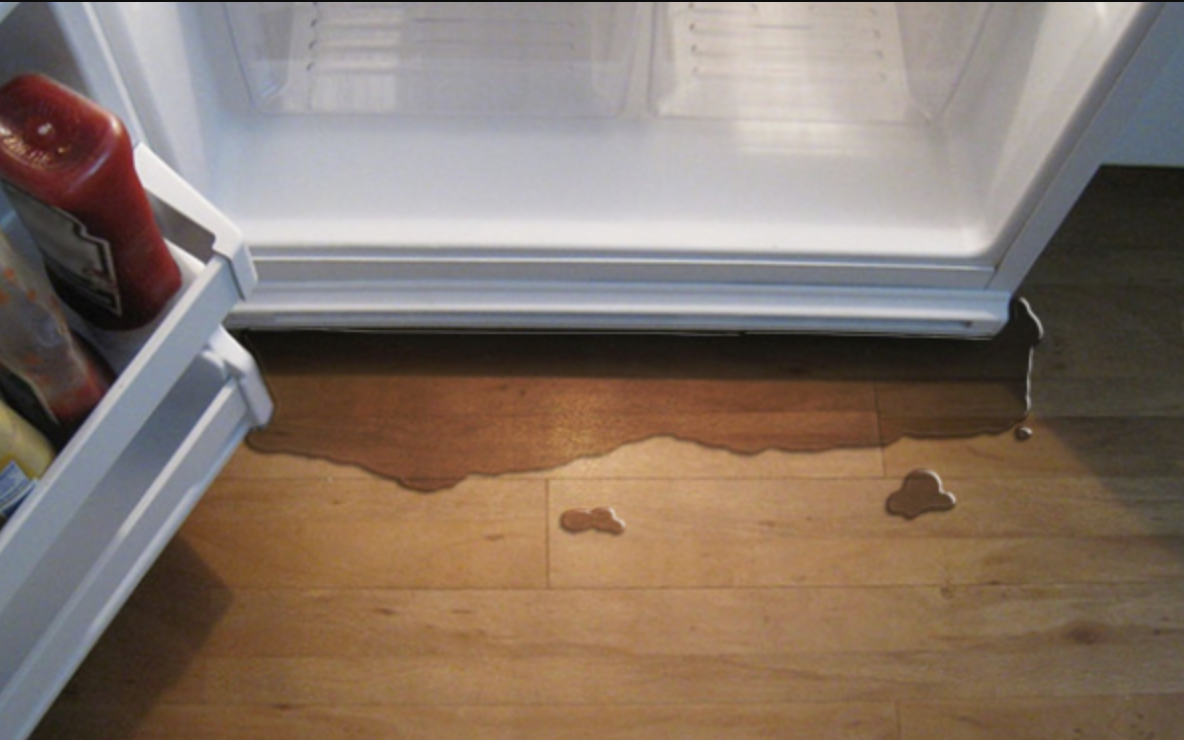 Refrigerator Water Line Leak: For Wisconsin Homeowners