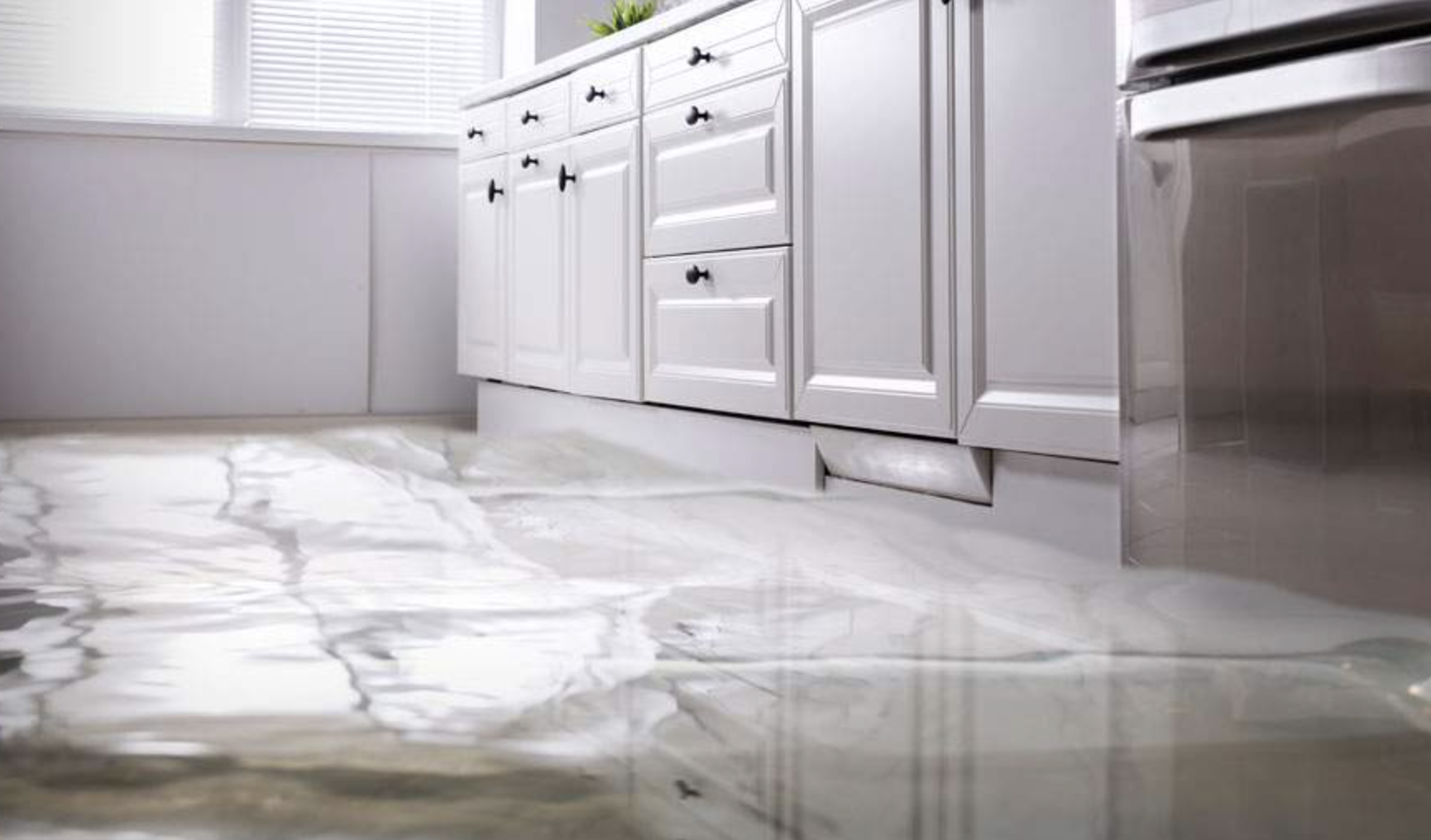 Does Homeowners Insurance Cover Water Damage and Mold?