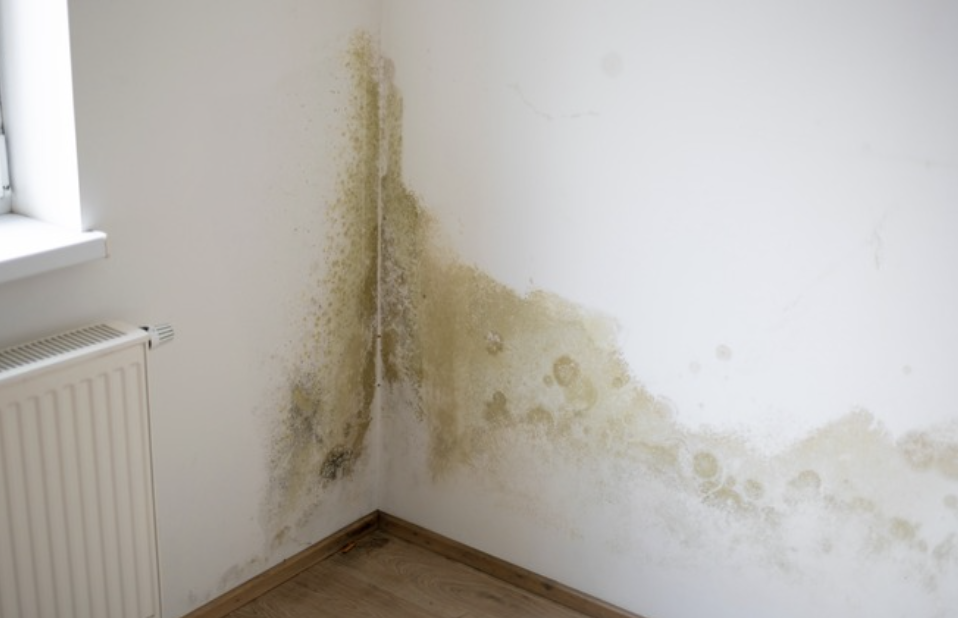 Hidden Signs of Water Damage In Wisconsin Walls & Ceilings