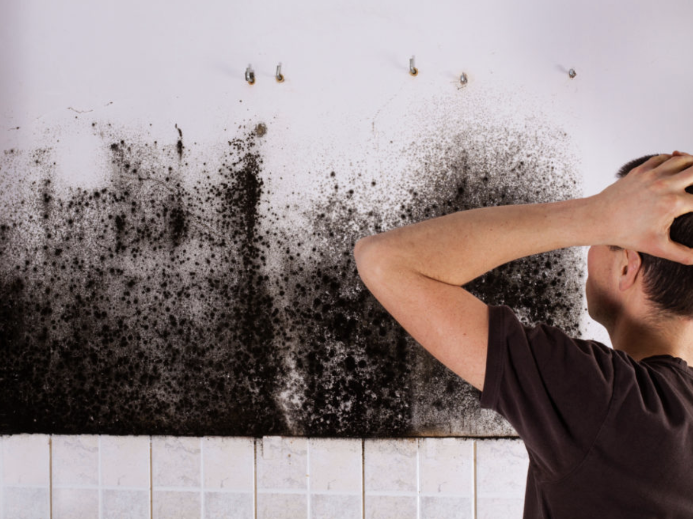 Early Signs of Mold in Your House and What to Do?