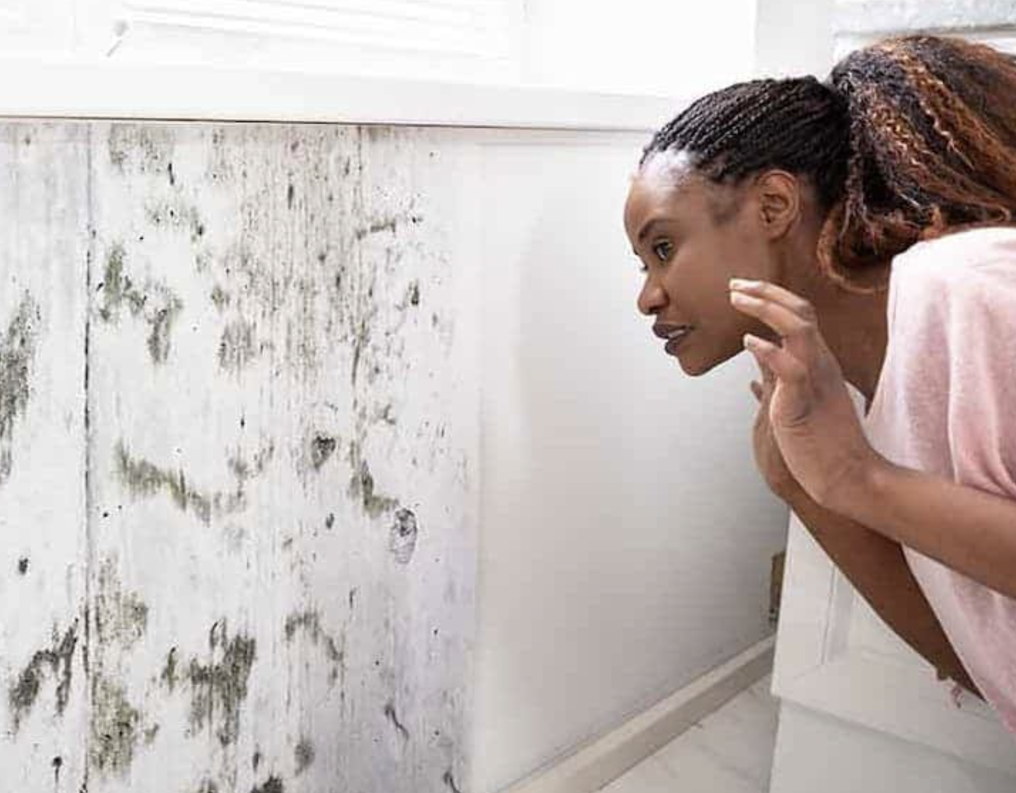 Mold in the House: Health Effects You Shouldn't Ignore
