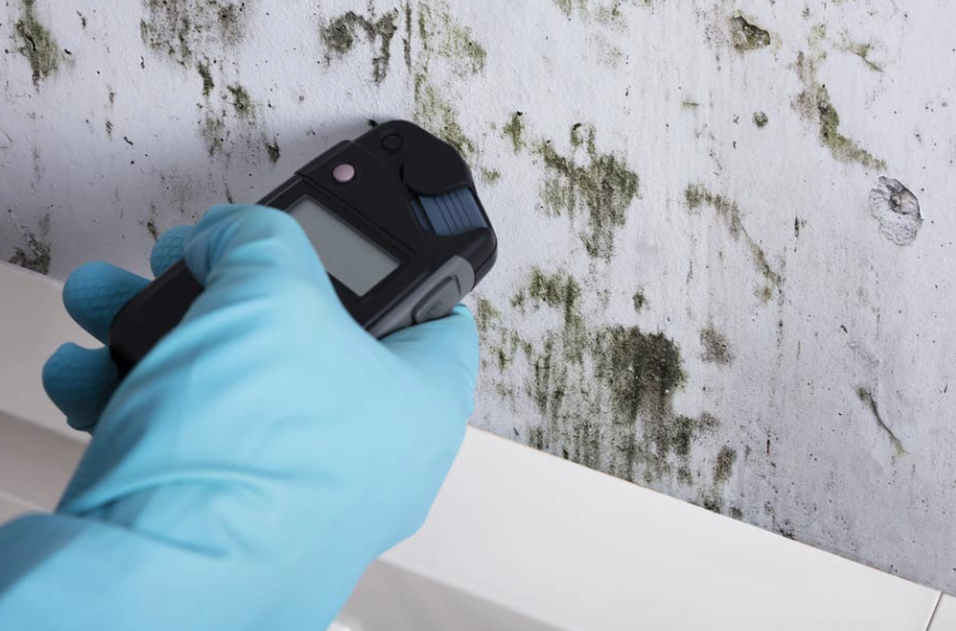 Mold Testing in Wisconsin: Inspection Before Remediation